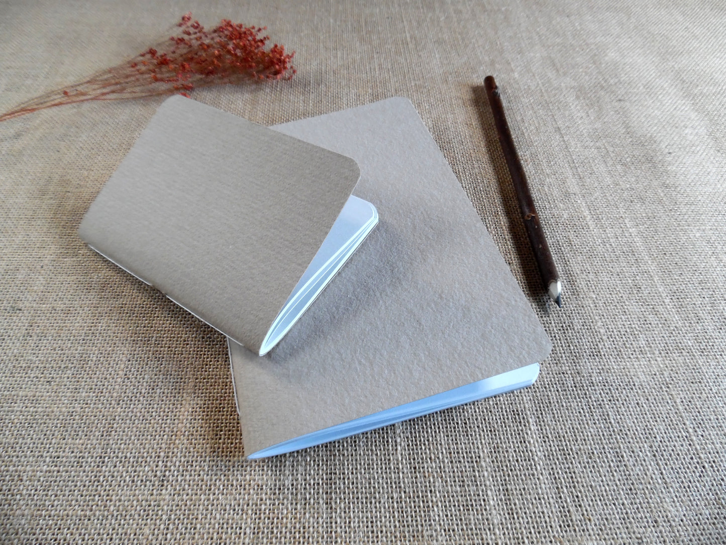 Carnet CORDA – La beauté du naturel