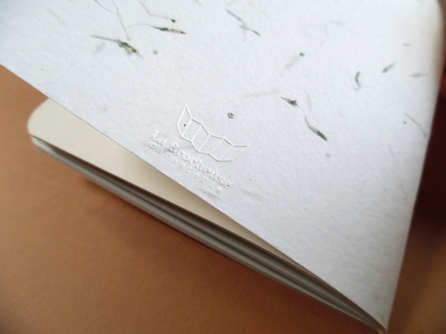Carnet GRAMEN – Un fragment de nature