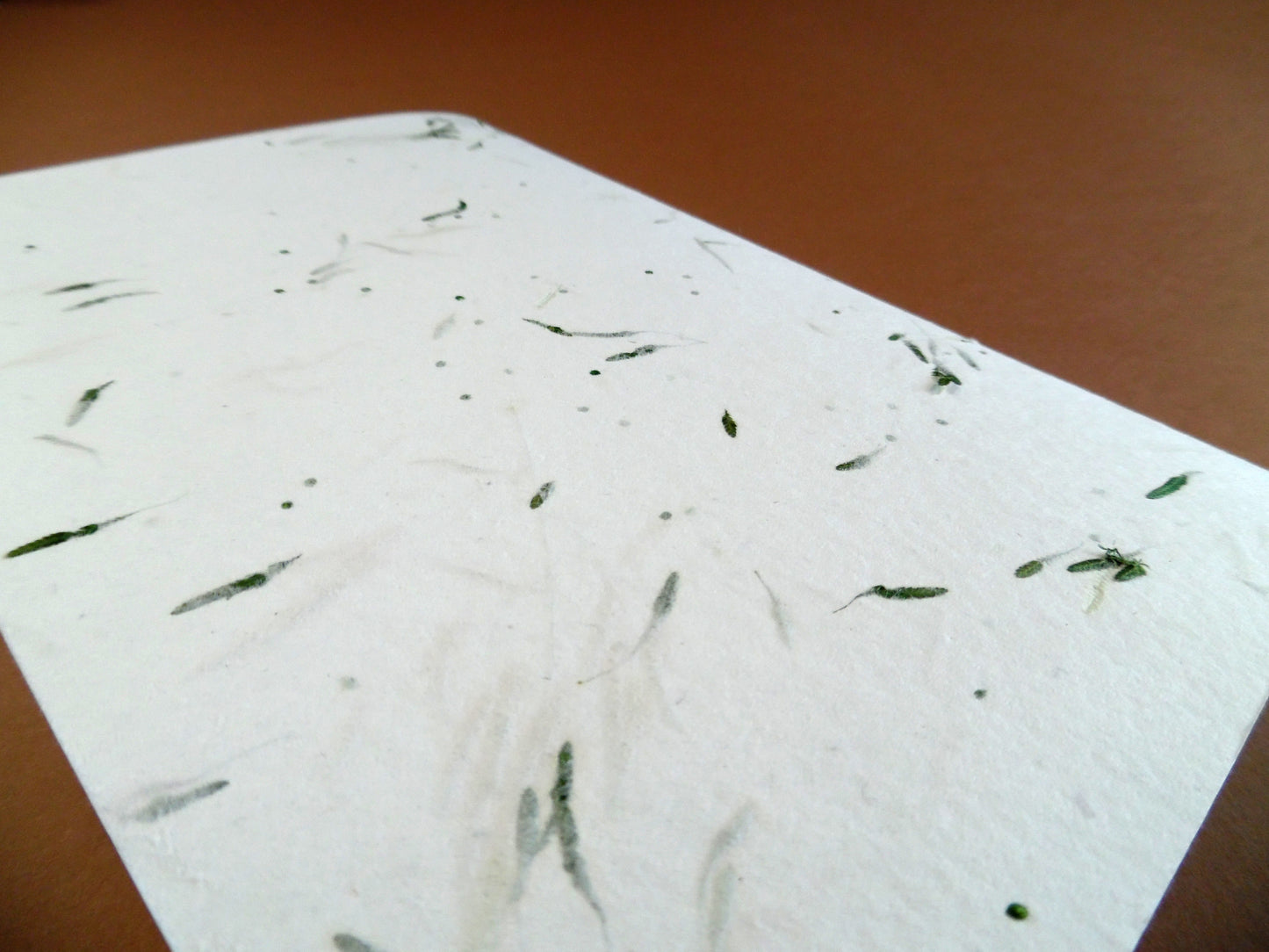 Carnet GRAMEN – Un fragment de nature