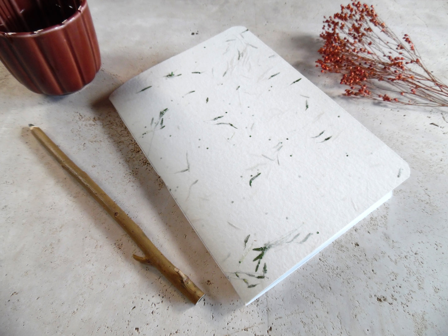 Carnet GRAMEN – Un fragment de nature