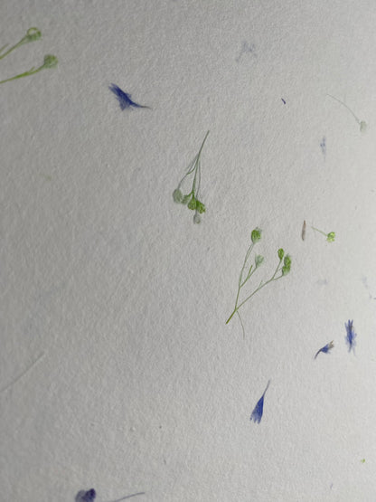 Carnet LAZULI – Un peu fleur bleue