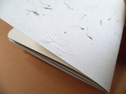 Carnet GRAMEN – Un fragment de nature